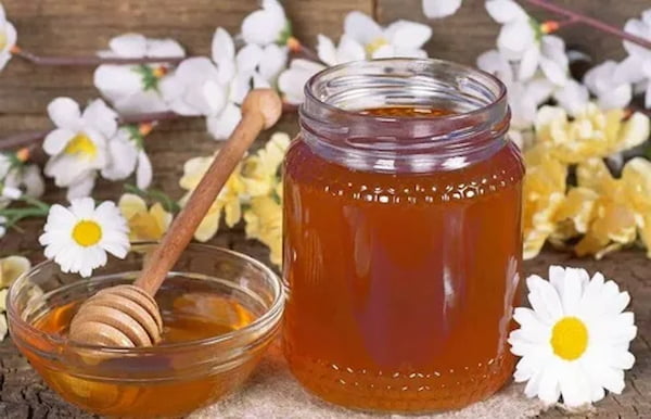 تصویر 3 از خرید و قیمت عسل گون باکیفیت + فروش عمده